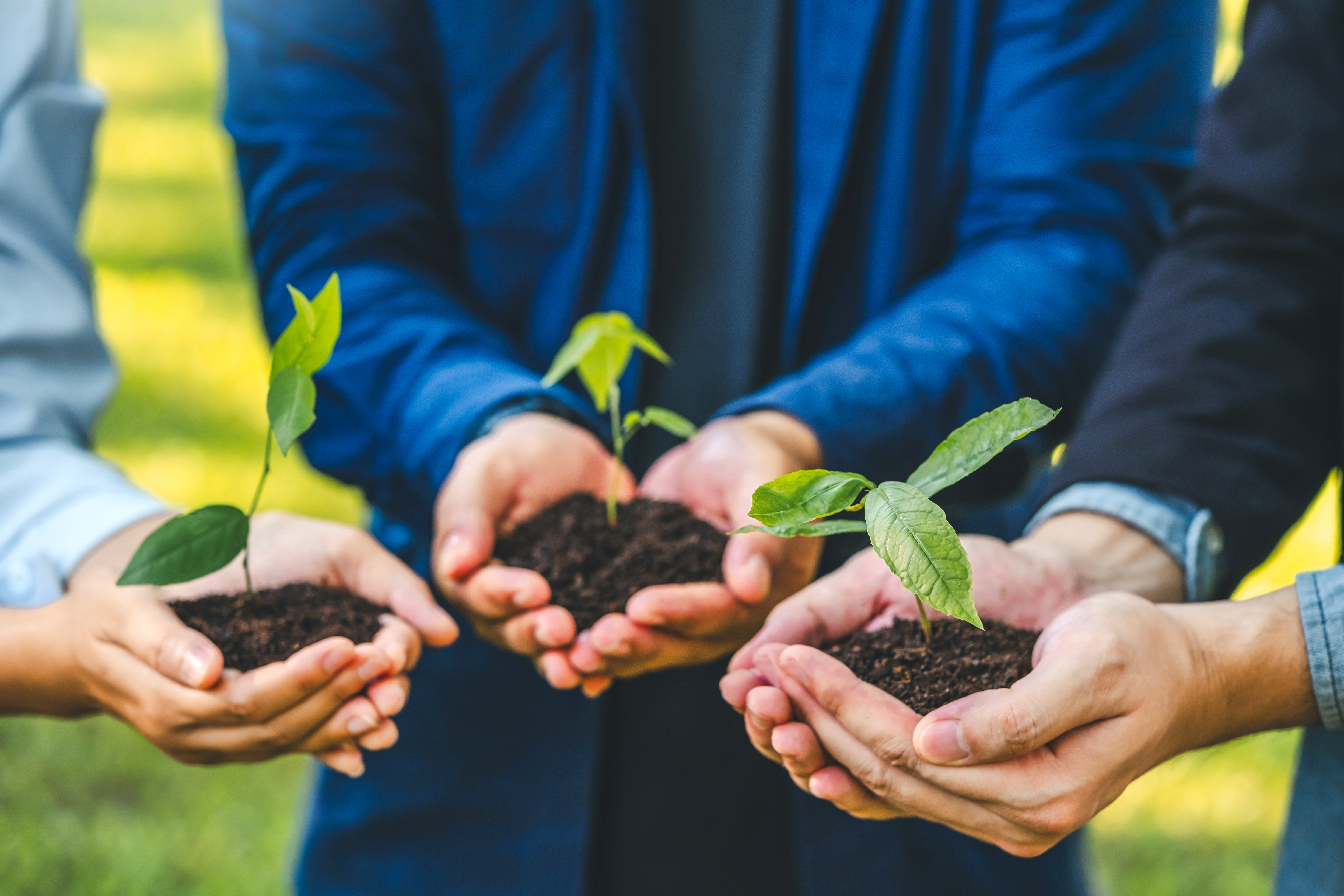 サステナビリティ